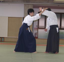What is Daito ryu Aiki Jujutsu
