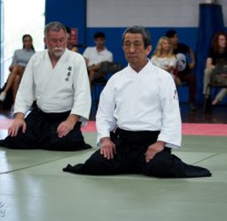 Why is Aiki Jujutsu Different to Other Martial Arts?
