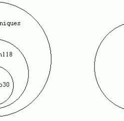 Curriculum and Technique in Takumakai Daito-ryu