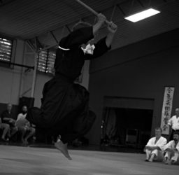 Daito-ryu & Other Aiki Arts